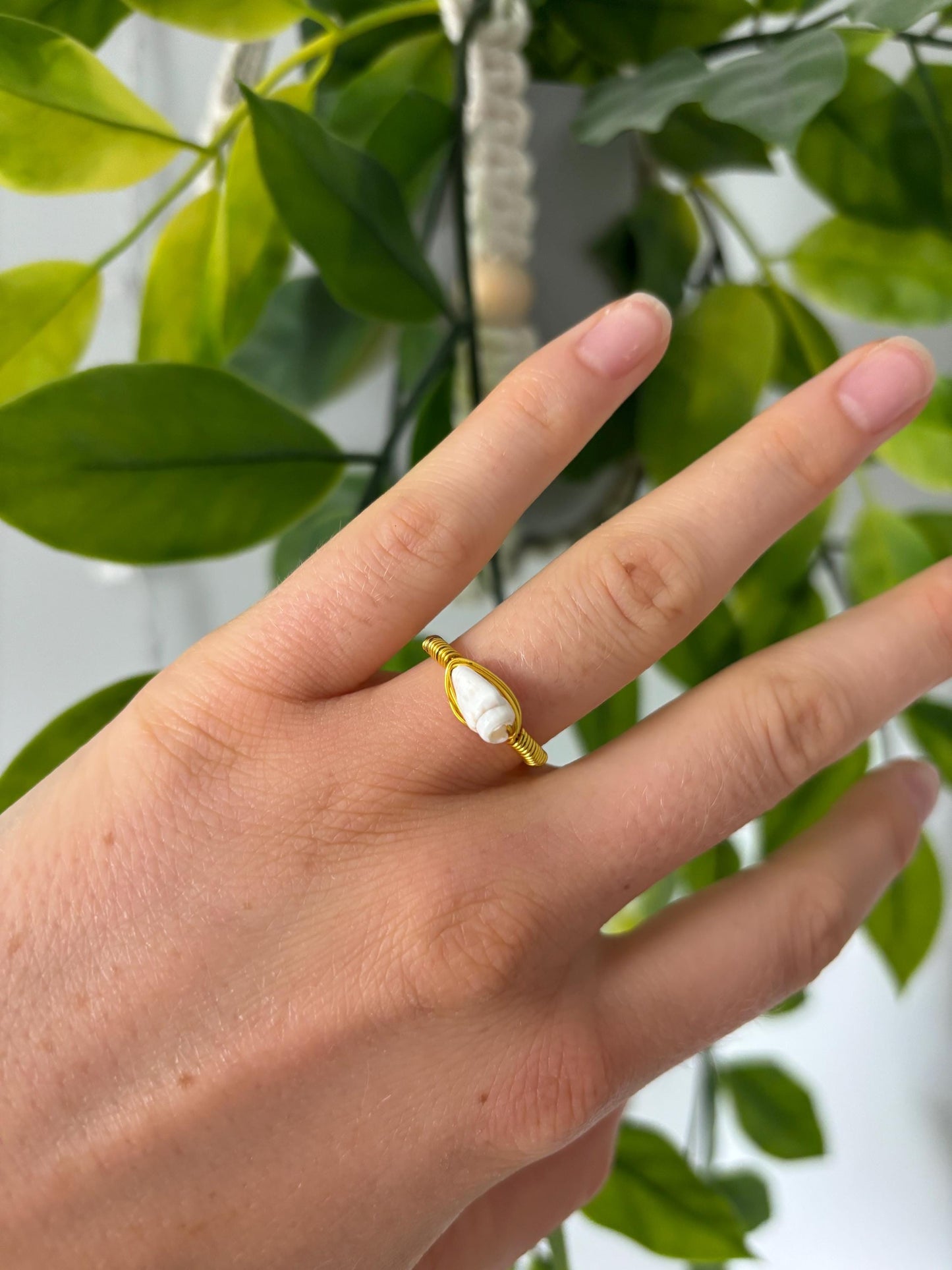 Shell Rings