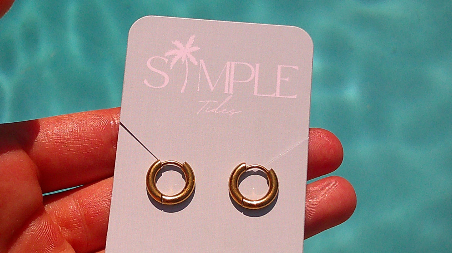 Small Gold and Silver Hoops