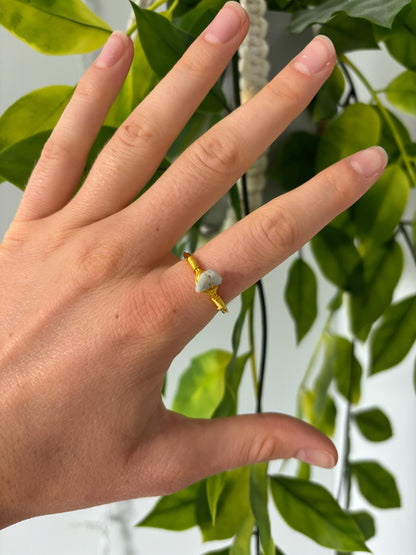 Rock Rings
