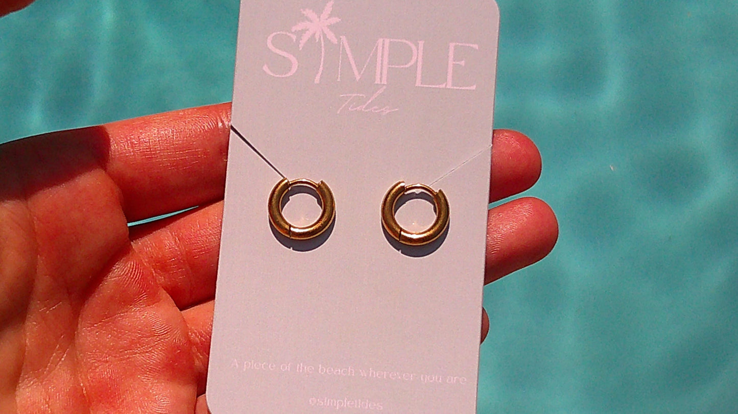 Small Gold and Silver Hoops