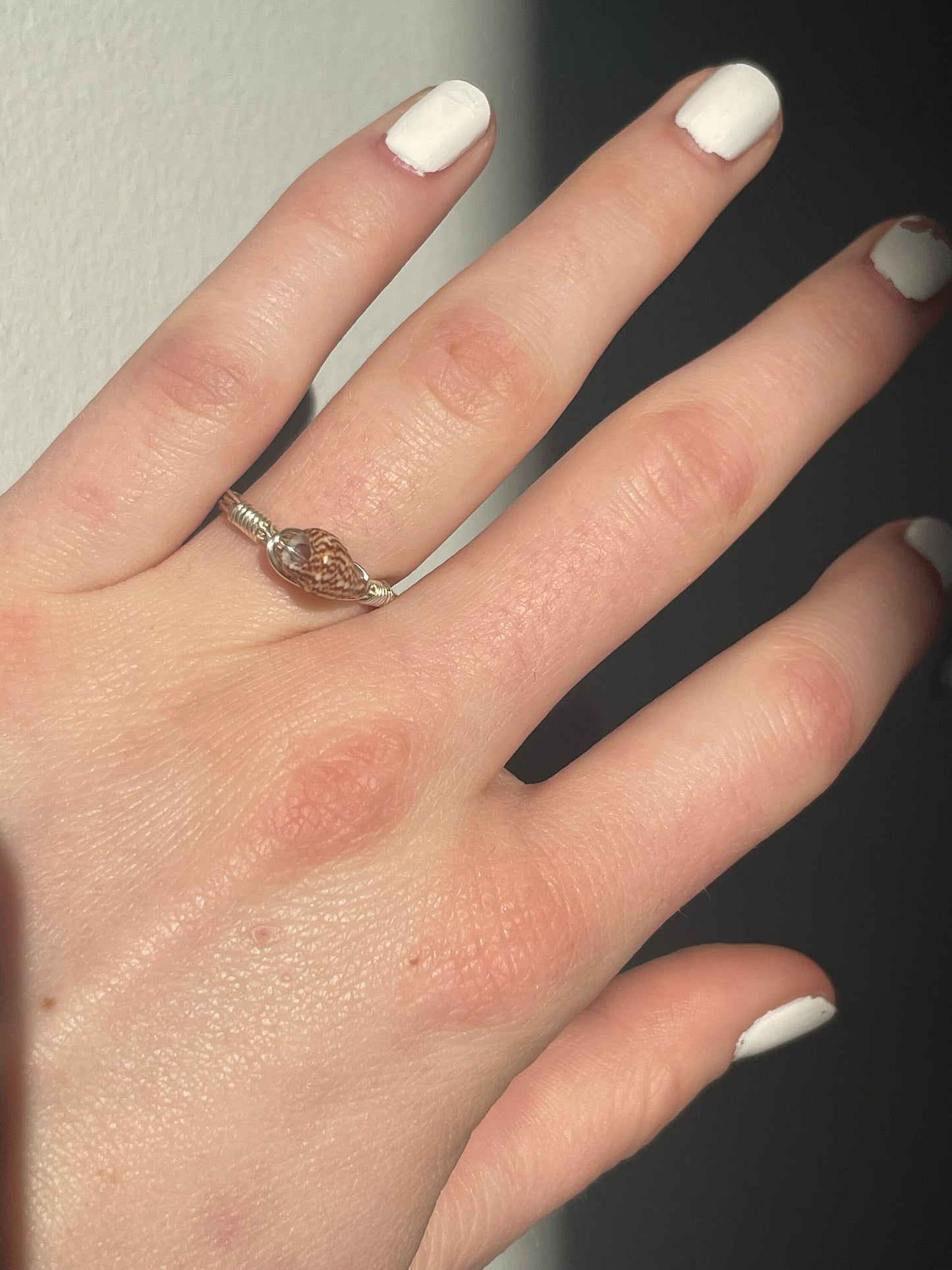 Shell Rings