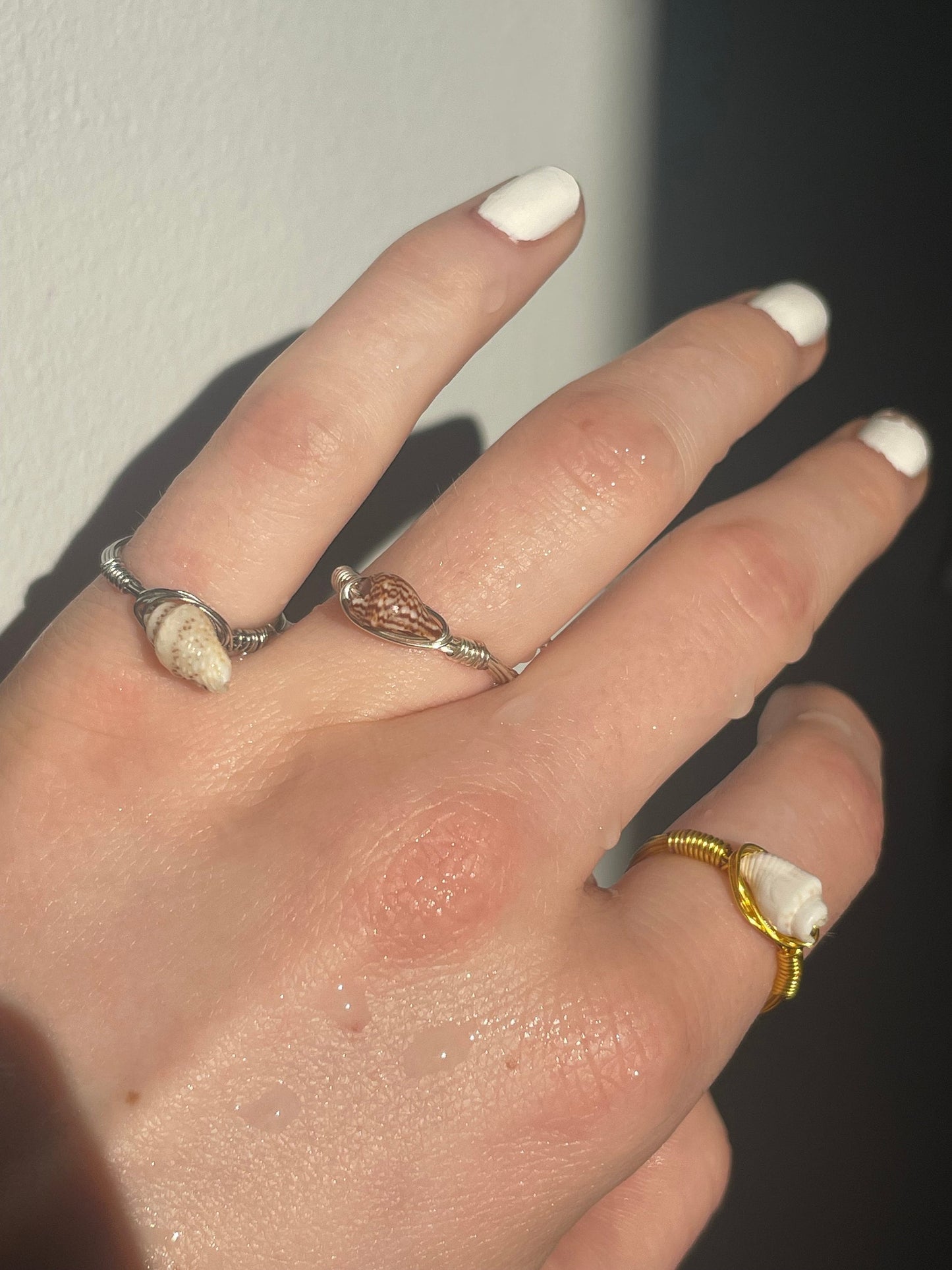Shell Rings